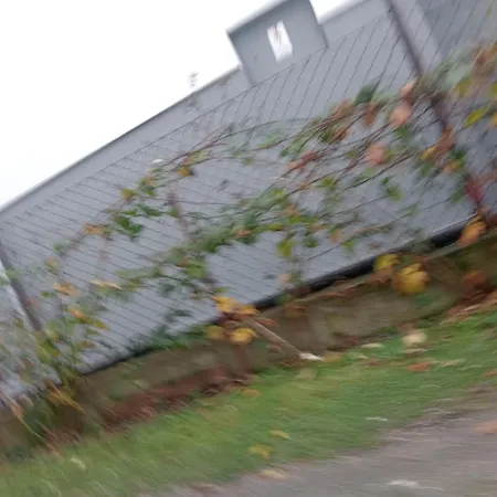 Appartement Pikaczu *